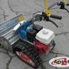 Z19 P25 su trinciasarmenti BTS 65